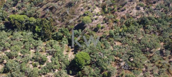 499999m² Land in Grandola, Portugal No. 64827 12