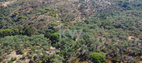 499999m² Land in Grandola, Portugal No. 64827 11