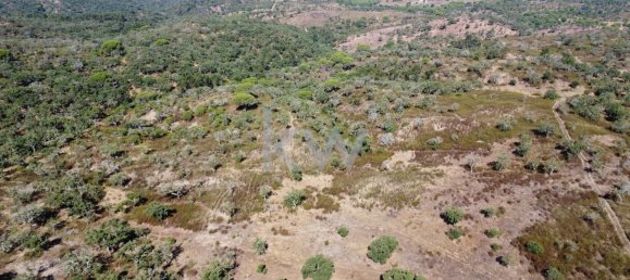 499999m² Land in Grandola, Portugal No. 64827 4