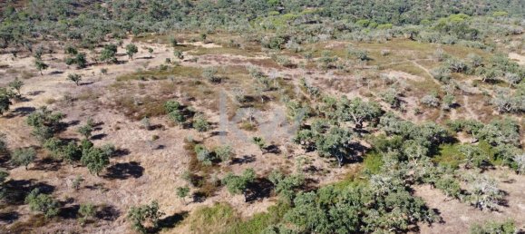 499999m² Land in Grandola, Portugal No. 64827 2