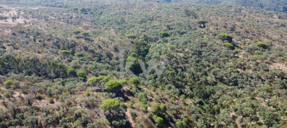 499999m² Land in Grandola, Portugal No. 64827 6