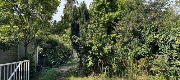 4-Zimmer Stadthaus in Münster, Germany, Nr. 286014 4