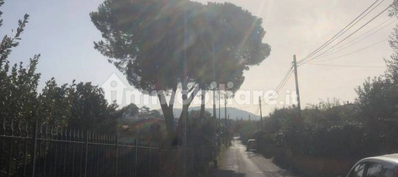 1050m² Land in Frascati, Italy No. 268367 13