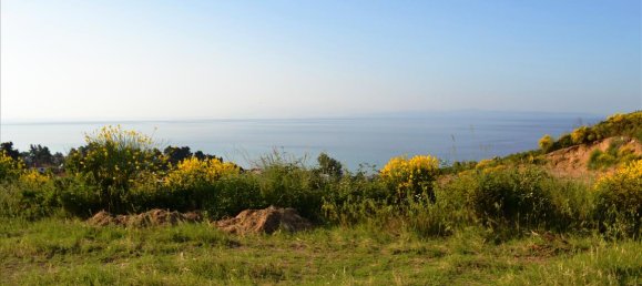 Hôtel à Chalkidiki, Greece 4650m² No. 7202 10