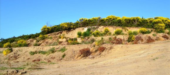 Hotel in Chalkidiki, Greece 4650m², Nr. 7202 8