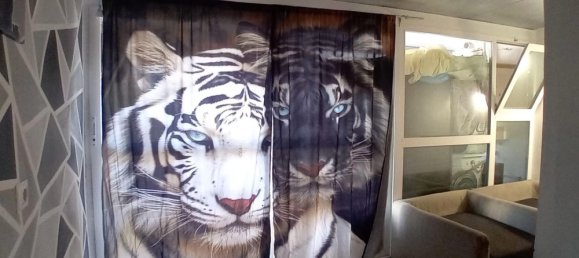 3 غرف نوم منزل في Gioia del Colle, Italy رقم 331332 38