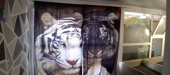 3 غرف نوم منزل في Gioia del Colle, Italy رقم 331332 32