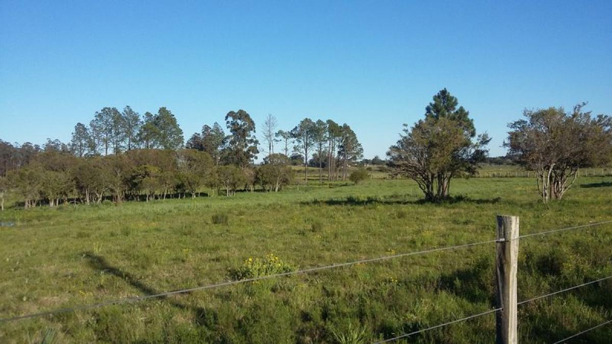  Farm in Maldonado, Uruguay No. 16076