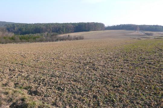 2غرفة قطعة أرض في Oberdorf im Burgenland, Austria رقم 51336