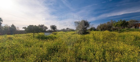 3 Schlafzimmer Haus in Reguengos de Monsaraz, Portugal, Nr. 24906 2