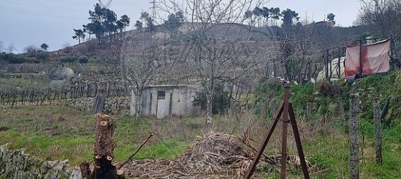 3 chambres Maison à Resende, Portugal No. 164854 19