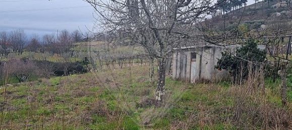 3 chambres Maison à Resende, Portugal No. 164854 20