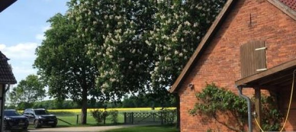 3 chambres Ferme à Diepholz, Germany No. 356602 7