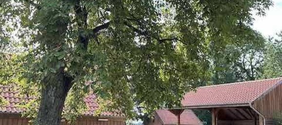 3 chambres Ferme à Diepholz, Germany No. 356602 5