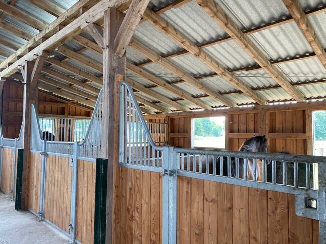 3 chambres Ferme à Diepholz, Germany No. 356602