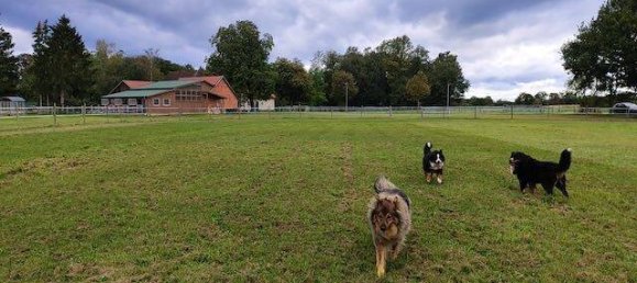 3 chambres Ferme à Diepholz, Germany No. 356602 19