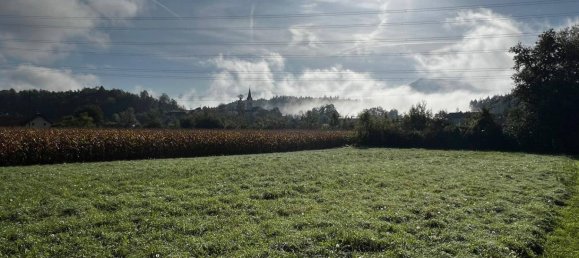 2344m² Land in Kottmannsdorf, Austria No. 104212 3