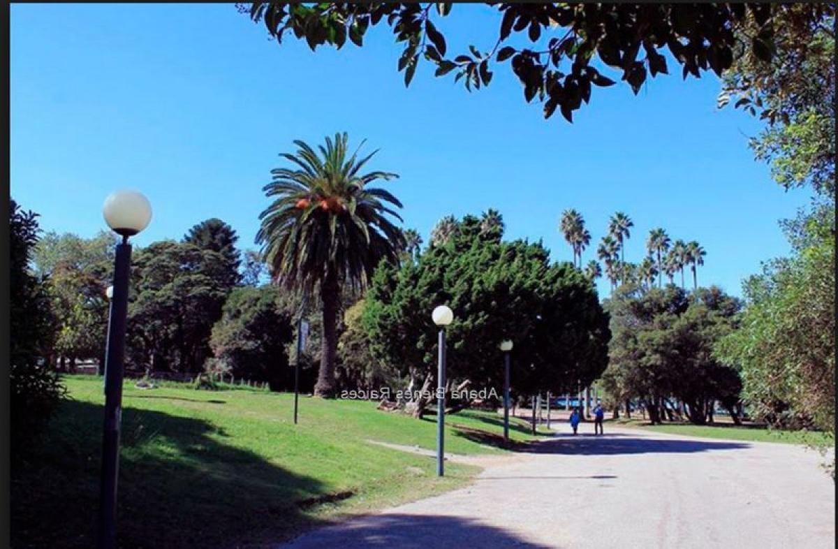 Studio in Montevideo, Uruguay, Nr. 6157