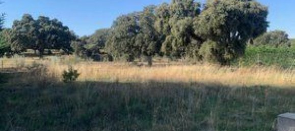 768m² Land in Maello, Spain No. 78242 7