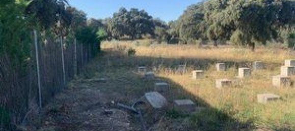 768m² Land in Maello, Spain No. 78242 6