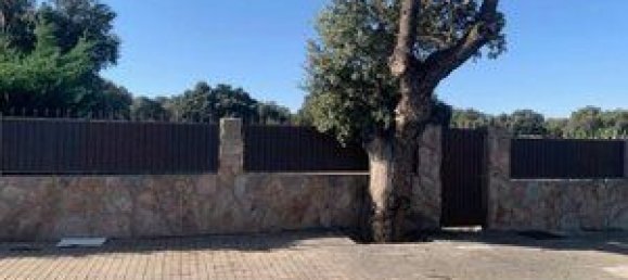 768m² Land in Maello, Spain No. 78242 10