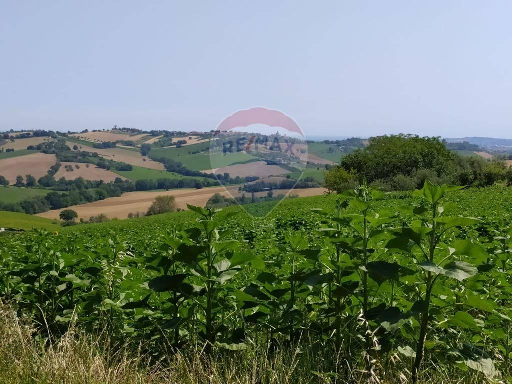 1 room Land in San Marcello, Italy No. 5624