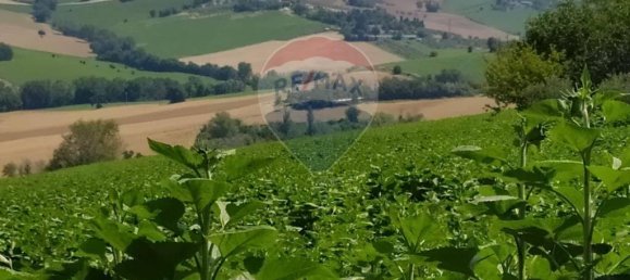 1 room Land in San Marcello, Italy No. 5624 3