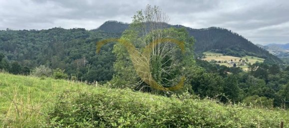 Terreno en Cangas de Onís, Spain No. 162564 4