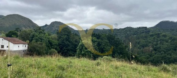 Terreno en Cangas de Onís, Spain No. 162564 14