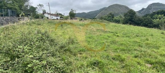 Terreno en Cangas de Onís, Spain No. 162564 6