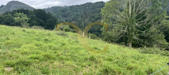 Terreno en Cangas de Onís, Spain No. 162564 5