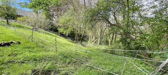 1 bedroom House in Morbihan, France No. 361123 12