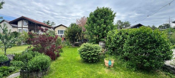 2 rooms House in Liesing, Austria No. 181352 3