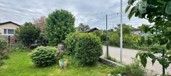 2 rooms House in Liesing, Austria No. 181352 2