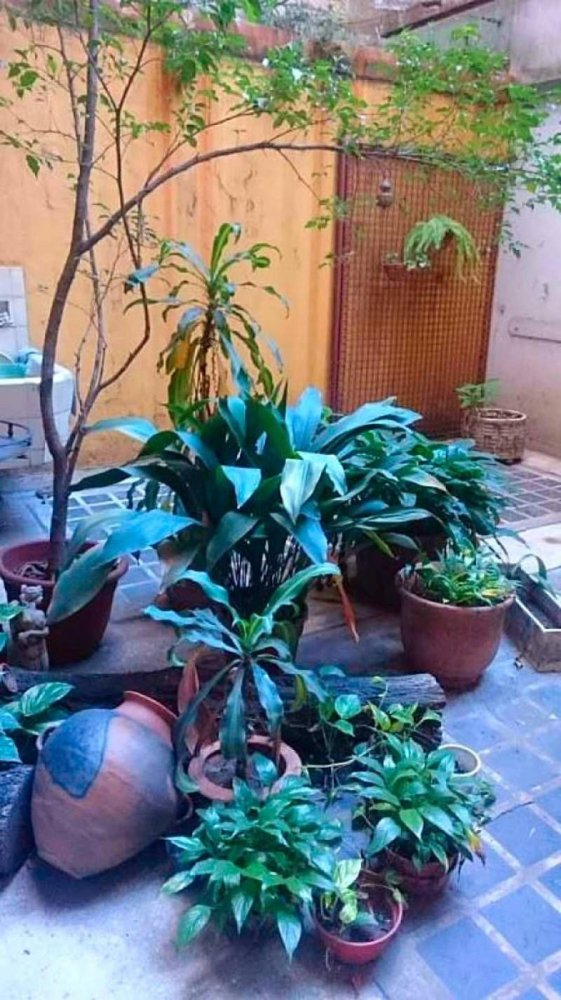 2 bedrooms Apartment in Buenos Aires, Argentina No. 96527