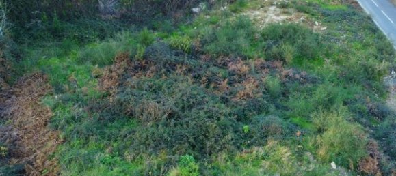 Terrain à Arcos de Valdevez, Portugal 1467m² No. 90681 7