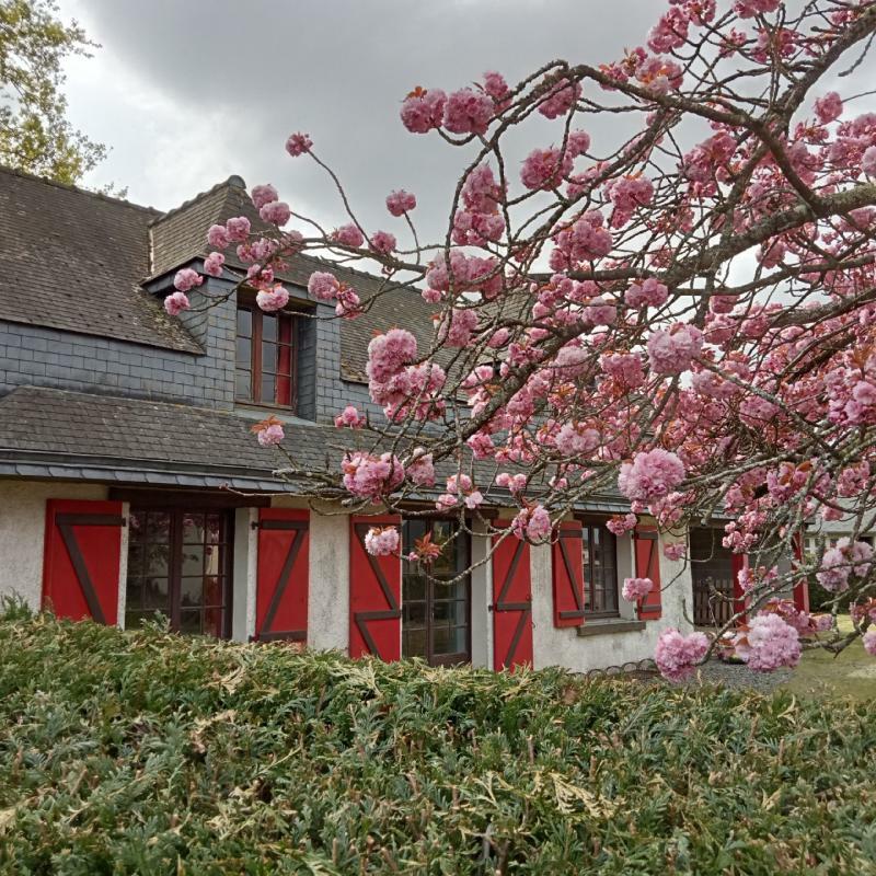 4 Schlafzimmer Haus in Ereac, France, Nr. 197973