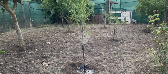 5 rooms House in Mazzarrone, Italy No. 233009 16