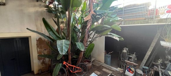 3 chambres Maison à Silves, Portugal No. 105134 41