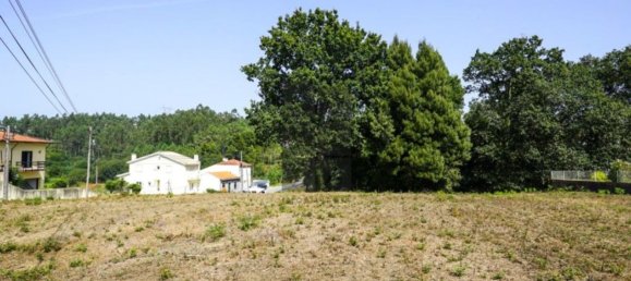 Grundstück in Oliveira de Azemeis, Portugal 11780m², Nr. 80133 10