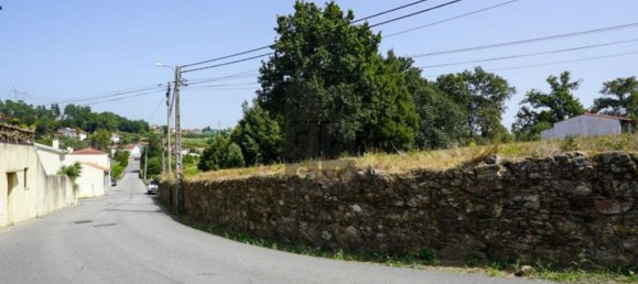 Grundstück in Oliveira de Azemeis, Portugal 11780m², Nr. 80133 3