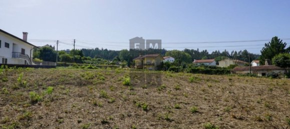 Grundstück in Oliveira de Azemeis, Portugal 11780m², Nr. 80133 16