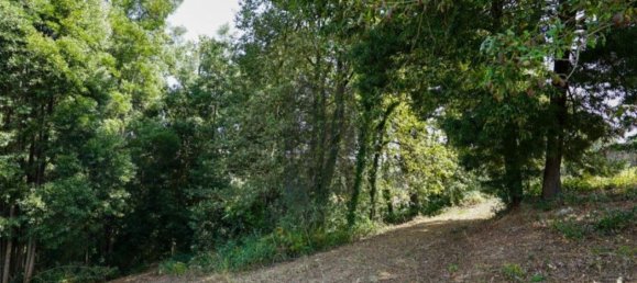 Grundstück in Oliveira de Azemeis, Portugal 11780m², Nr. 80133 12