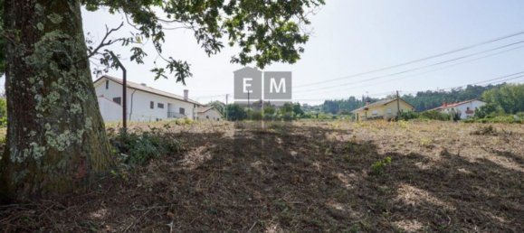 Grundstück in Oliveira de Azemeis, Portugal 11780m², Nr. 80133 13