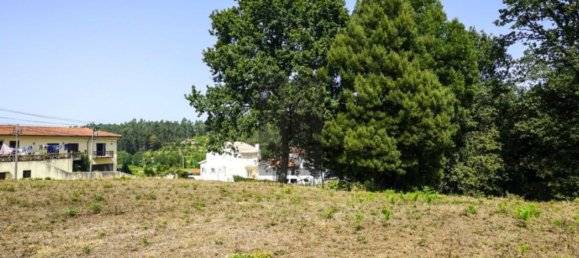 Grundstück in Oliveira de Azemeis, Portugal 11780m², Nr. 80133 18