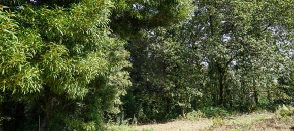 Grundstück in Oliveira de Azemeis, Portugal 11780m², Nr. 80133 19