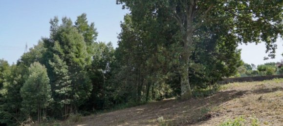 Grundstück in Oliveira de Azemeis, Portugal 11780m², Nr. 80133 11