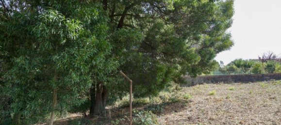 Grundstück in Oliveira de Azemeis, Portugal 11780m², Nr. 80133 14