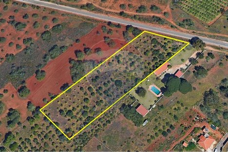 7400m² Land in Loule, Portugal No. 37445