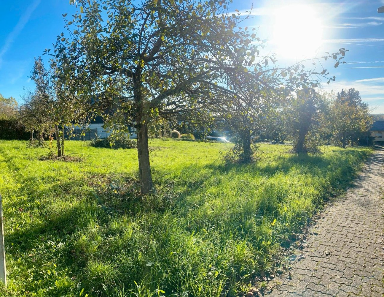 Grundstück in Rhein-Neckar-Kreis, Germany, Nr. 323006